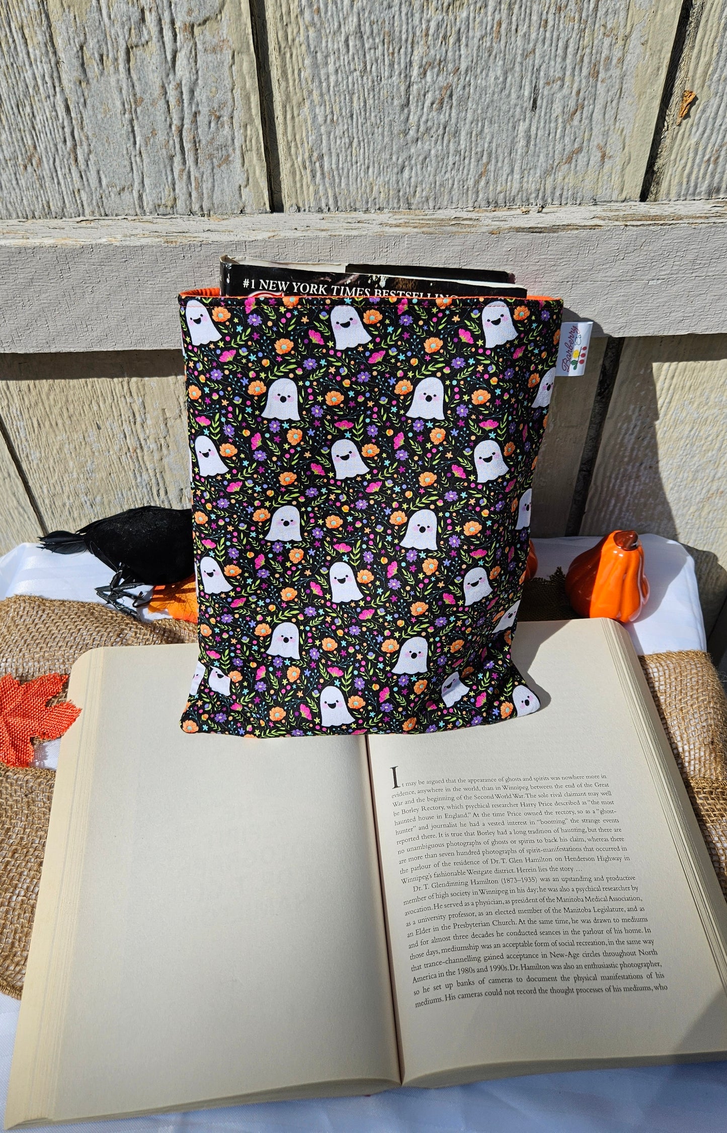 Autumn Graden Ghosts Book Sleeve